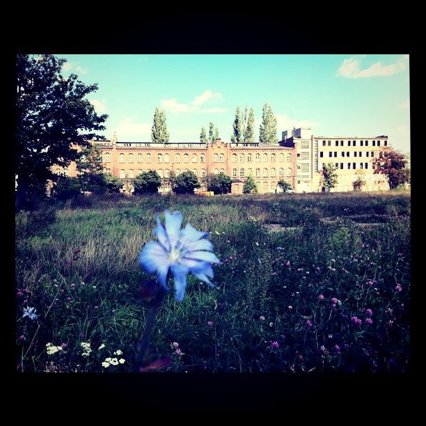 The end of communism. The desolate shipyard of Gdansk