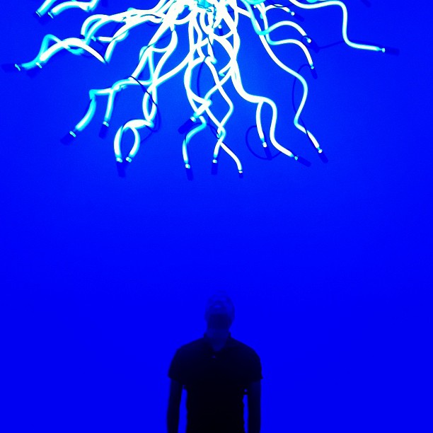 9952383ca2ab11e1be6a12313820455d_7