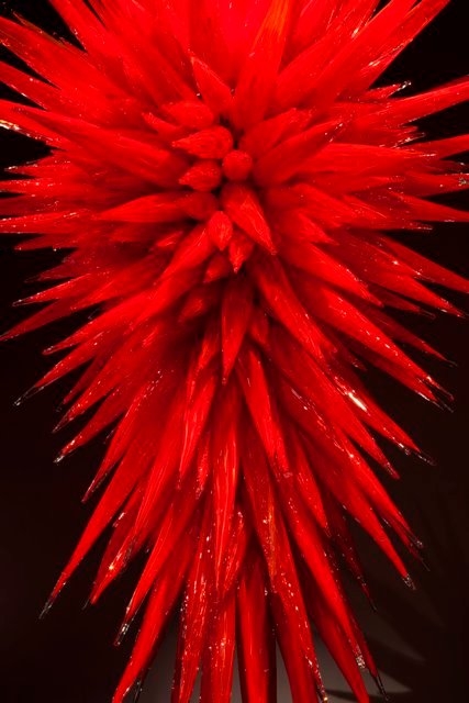 Chihuly Ruby Red Icicle Chanderlier Low Res