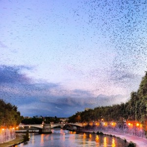 ef812caa213a11e2891a22000a9d0ec6_7