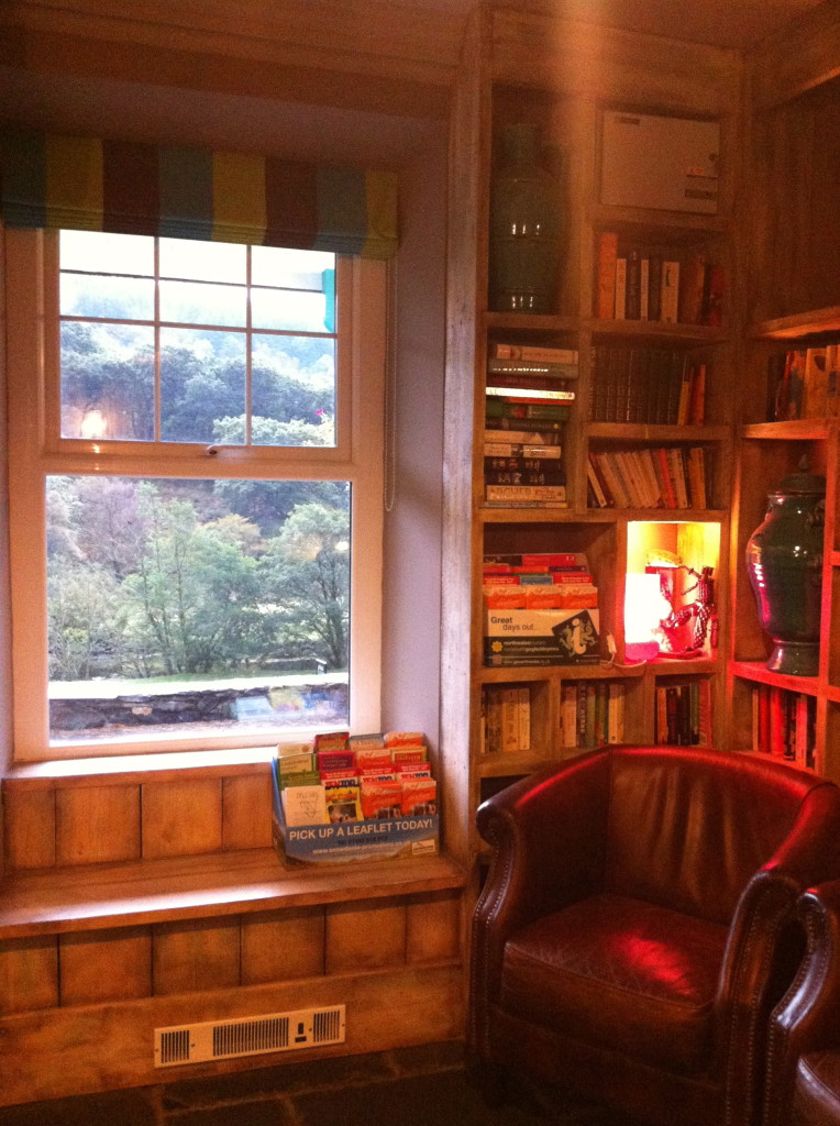 Library, Plas Curig Hostel