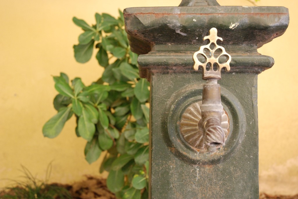 Garden, The Beehive Rome