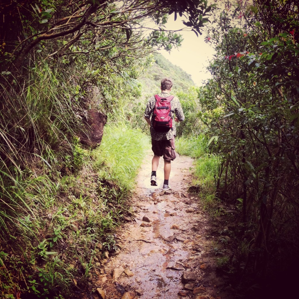 ...and explore the walking routes...