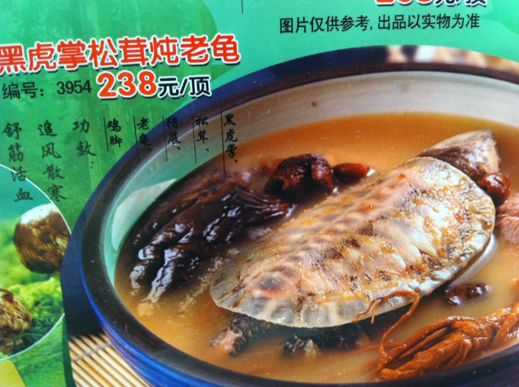 Turtle soup, anyone..?