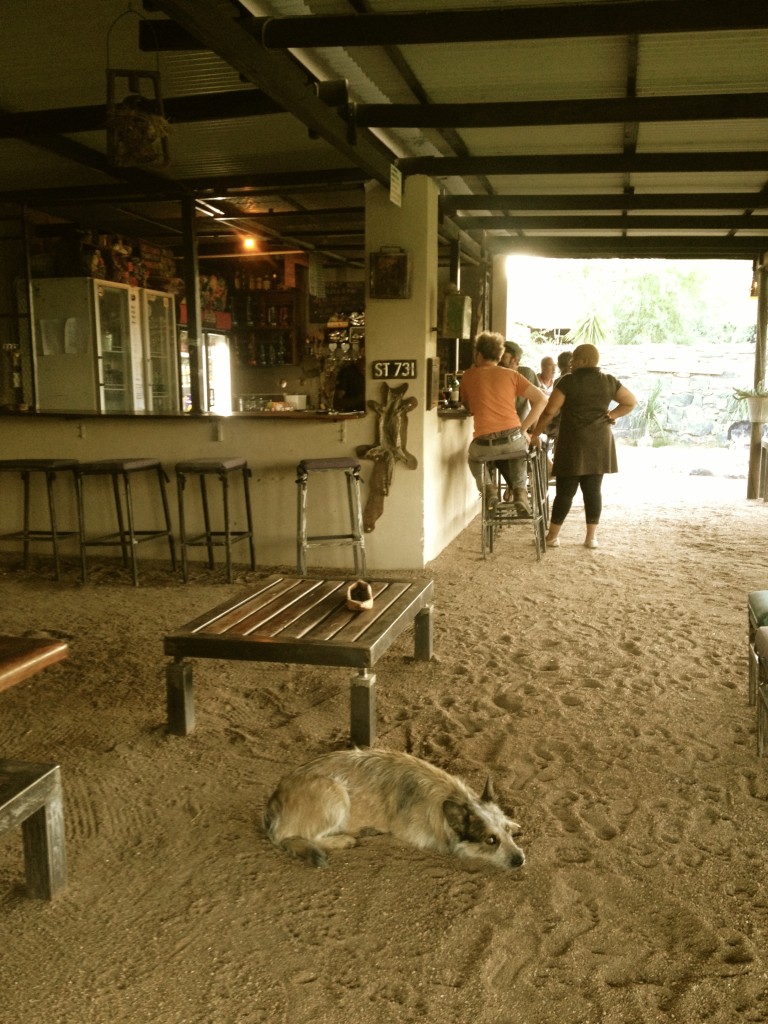 The boathouse bar, Growcery Camp. Nice bar and a very cool space. 
