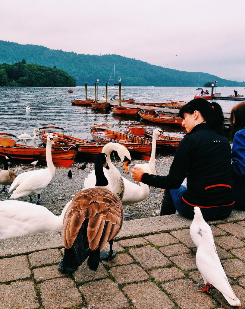 Feedings the swans and ducks at Bowness on Windermere