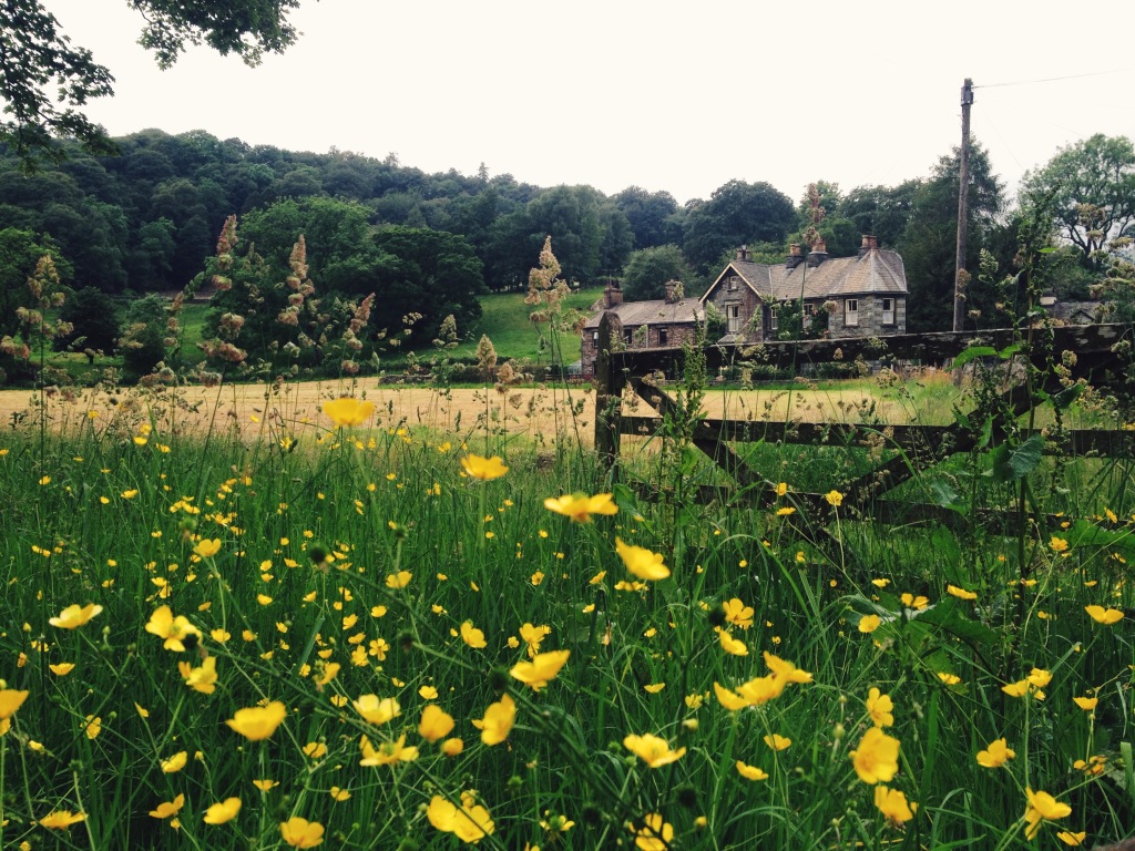 Processed with VSCOcam with c2 preset