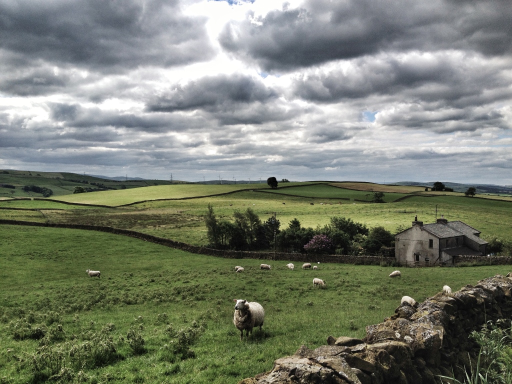 When you see scenes like this, you realise why Yorkshire is called 'God's own country'
