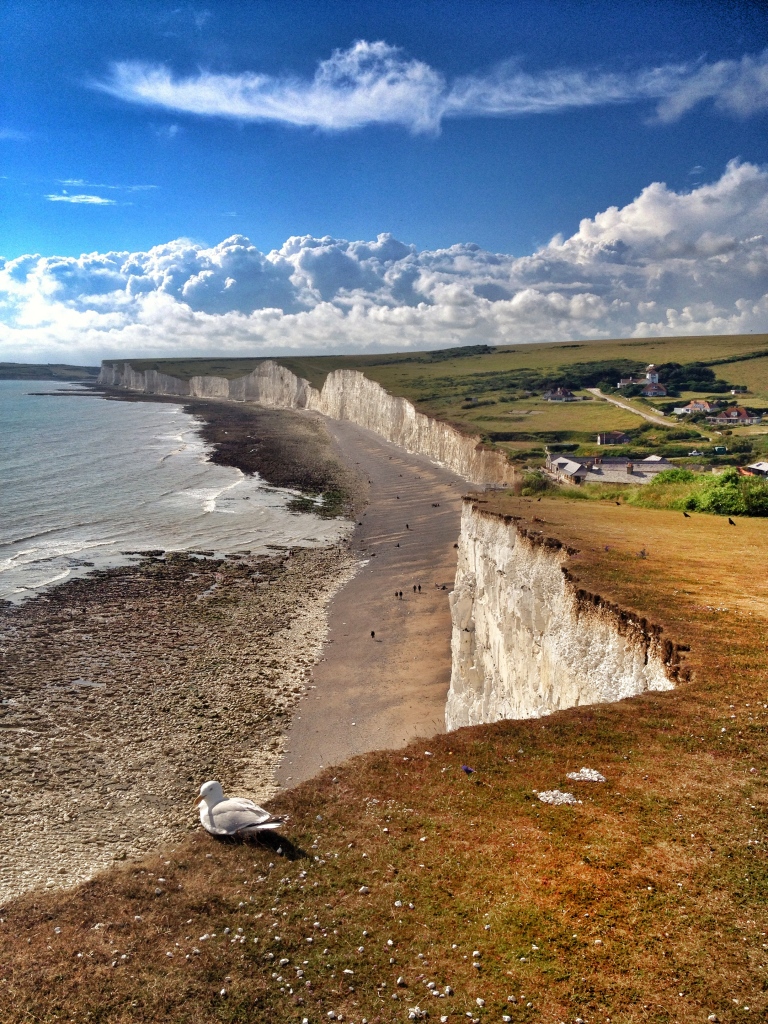 Unmissable: White cliffs of Beachy Head