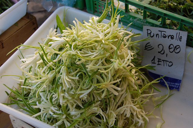 Puntarelle on sale at Campo de Fiori
