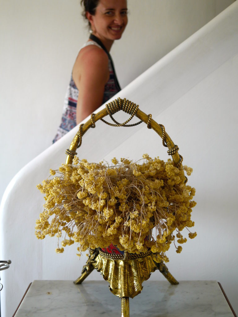 Gala's beloved hello flowers: She gathered her beloved yellow flowers from the rocky hills around, drying them into wonderful bunches