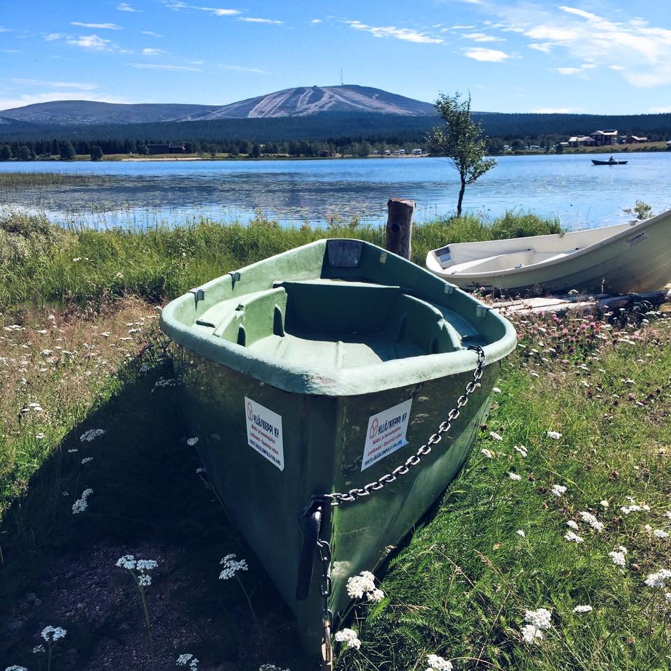 13939352_514211982116460_7143943786012272685_n