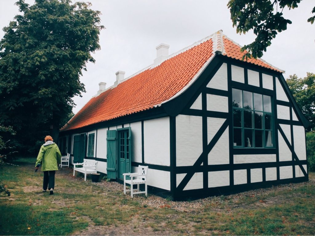 skagen houses