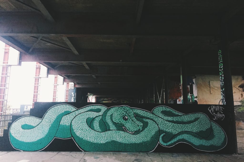 Processed with VSCO with f1 preset