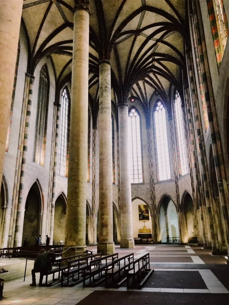 Famous Palm Tree of Toulouse