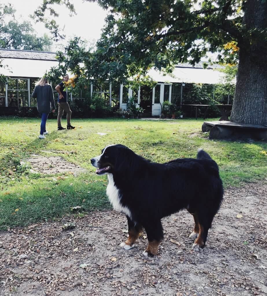 Siltumnīca Valmiera