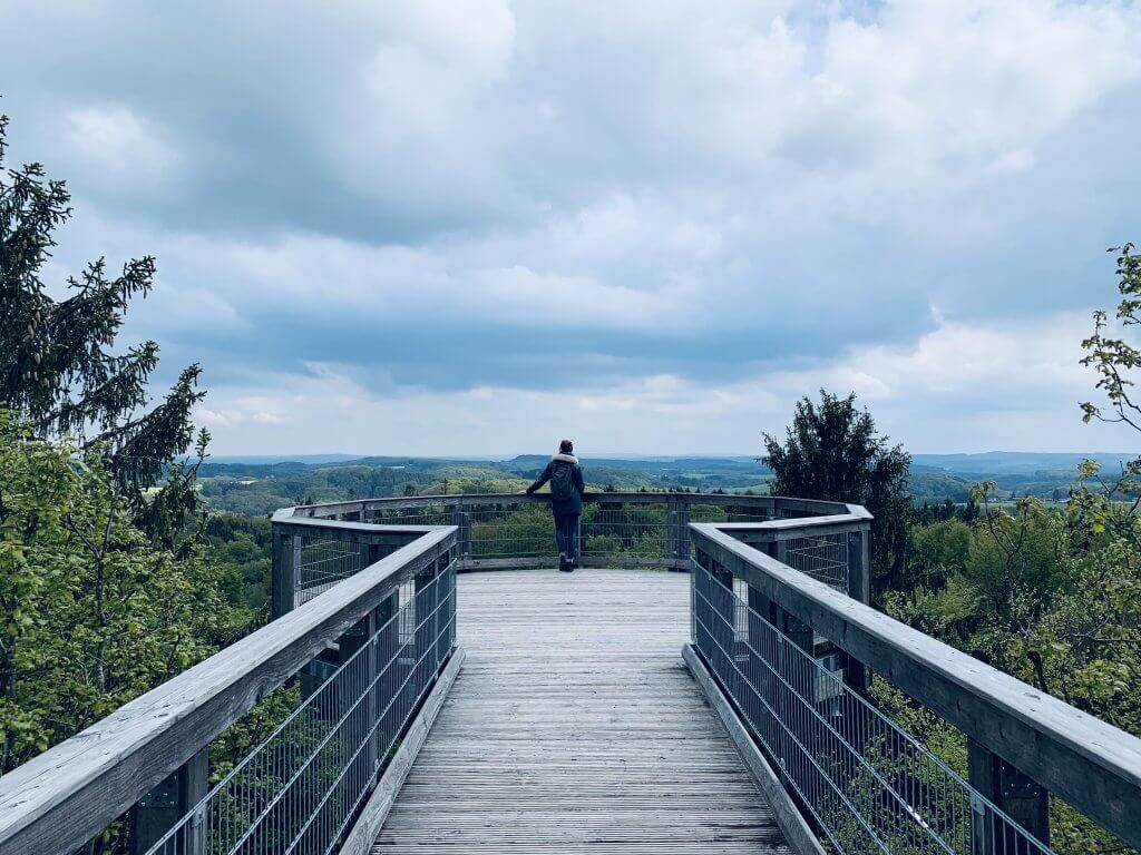 The treetop paths that lead from the observation tower into the forest